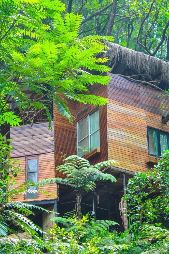Jungle Tree House Rangala Bed and Breakfast Kandy Exteriör bild