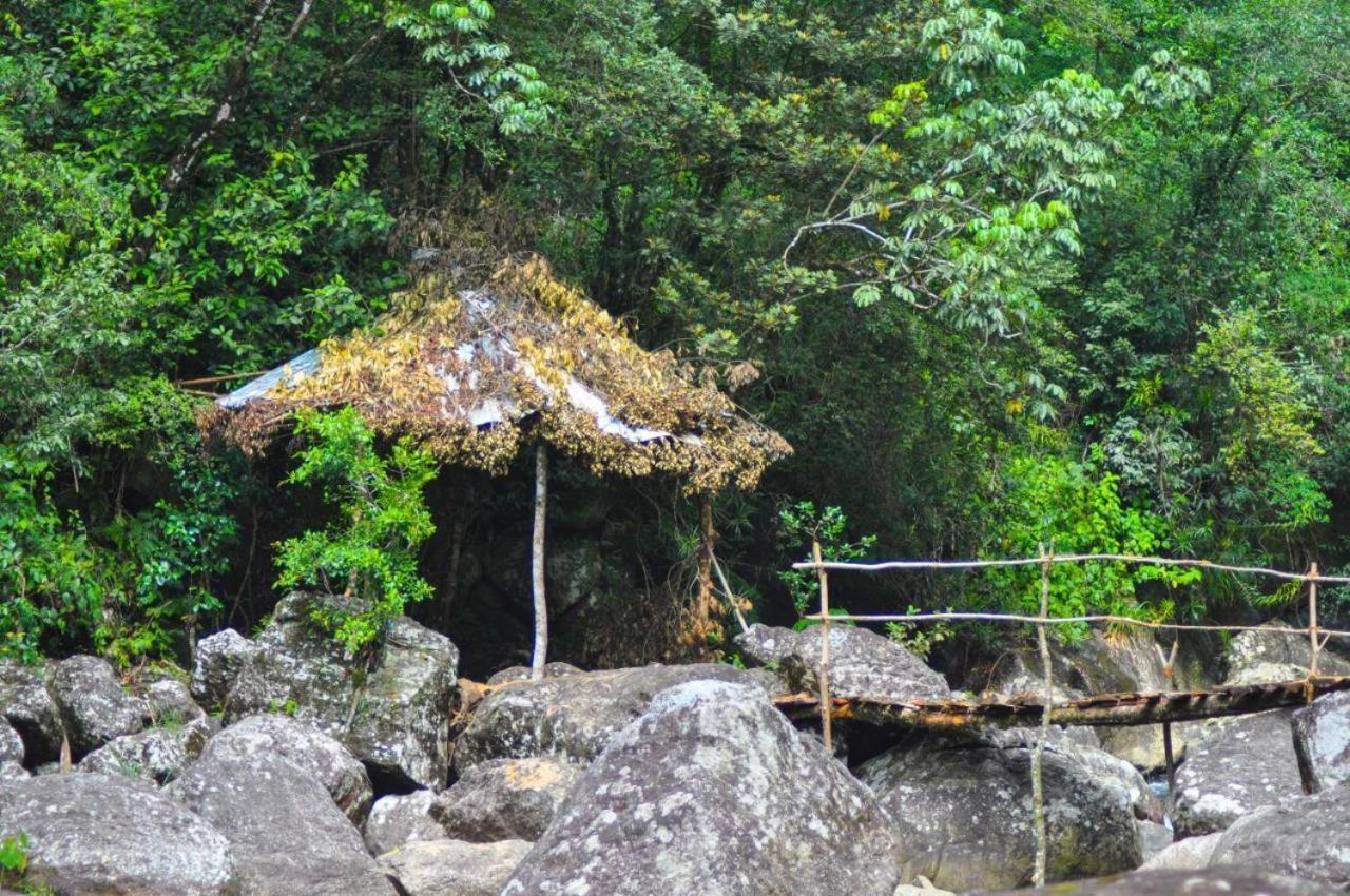 Jungle Tree House Rangala Bed and Breakfast Kandy Exteriör bild