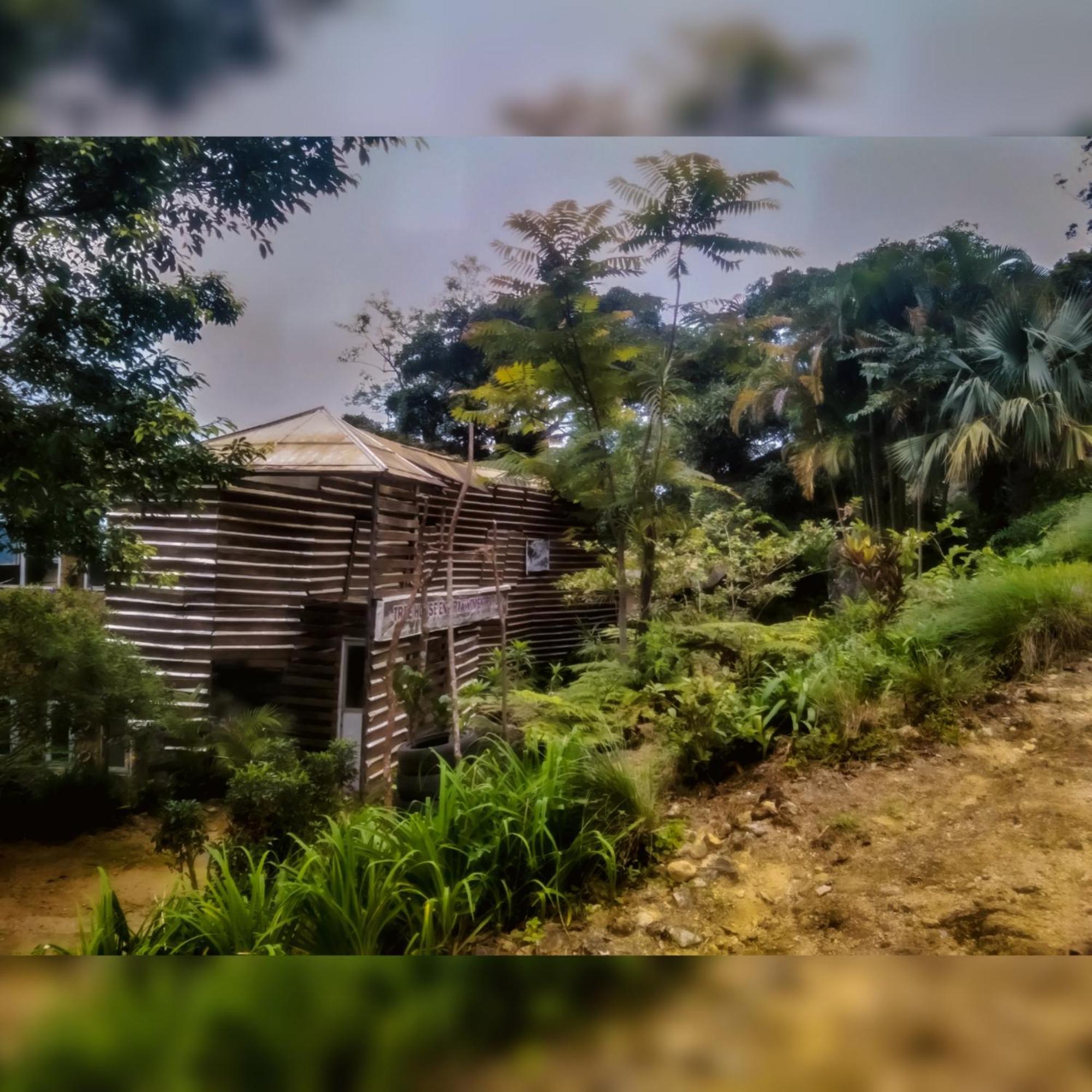 Jungle Tree House Rangala Bed and Breakfast Kandy Exteriör bild